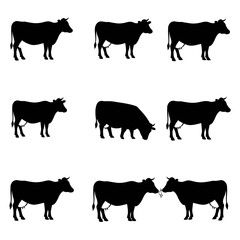 silhouettes of cow set vector design illustration, white background
