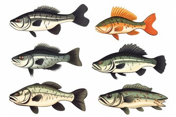Fototapeta premium Illustration featuring six distinct fish species, showcasing their diverse colors and patterns, swimming in an underwater environment