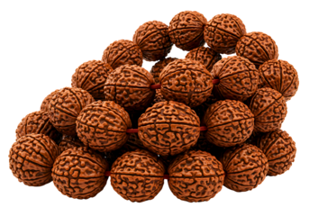 A pile of natural brown rudraksha beads strung together on a red thread isolated on transparent background
