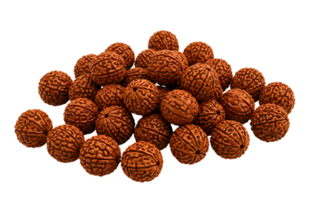 A pile of natural brown rudraksha beads strung together on a red thread isolated on transparent background
