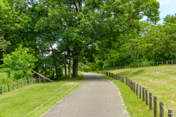 緑豊かな公園の散策路