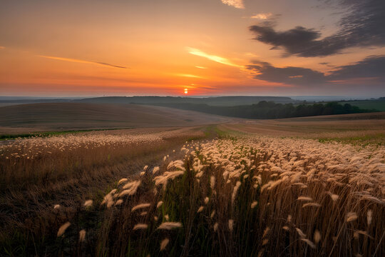 12k ultra HD photo of golden fields glowing in morning light, with swaying tall grass under a soft orange-yellow sky and poetic drifting clouds near horizon.