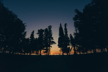 peaceful sunset with tall trees silhouette against deep blue sky, serene evening atmosphere,...