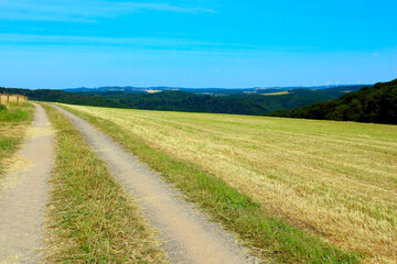 Landschaft zwischen Mosel und Hunsrück auf dem Wanderweg Moselsteig Seitensprung Borjer Ortsbachpädche bei Burgen an der Mosel im Landkreis Mayen-Koblenz in Rheinland-Pfalz. 