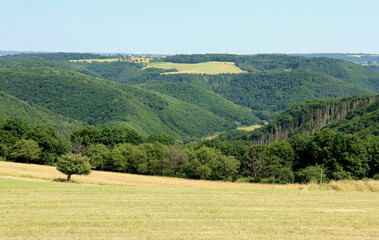 Blick ins Baybachtal im Hunsrück vom Wanderweg Moselsteig Seitensprung Borjer Ortsbachpädche bei...