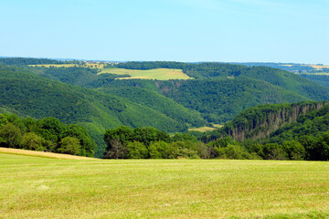 Blick ins Baybachtal im Hunsrück vom Wanderweg Moselsteig Seitensprung Borjer Ortsbachpädche bei Burgen an der Mosel im Landkreis Mayen-Koblenz in Rheinland-Pfalz.  © Philipp