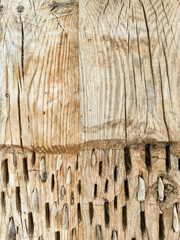 Wooden sculpture with intricate patterns showcases craftsmanship and natural texture