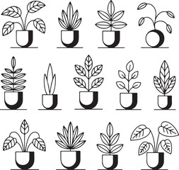 Elegant Line Art of Potted Plants An Assortment of Botanical Illustrations Depicting Various Leaf Shapes and Pot Designs in Black and White