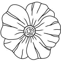 sketch of a flower