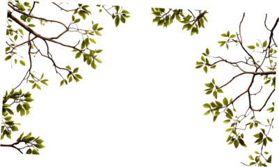 a tree branches plant leaf isolated on white background PNG , AI GENERATED