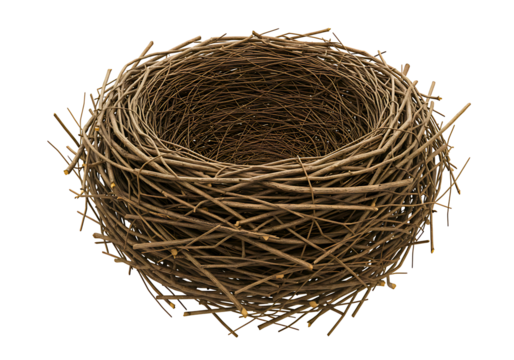 Natural bird nest made of twigs and branches isolated on transparent background