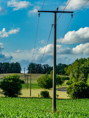 Strommasten in Hügellandschaft