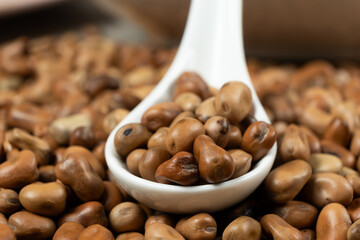 Dried vicia faba beans in a spoon close-up