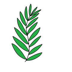 Handrawn tropical leaves, cartoon nature leaves isolated on white background