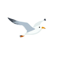 Simple Seagull Design Illustration