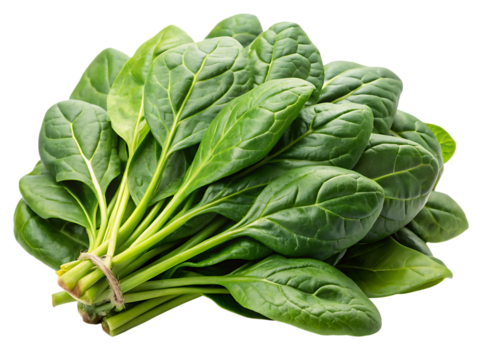  spinach isolated on white background.PNG