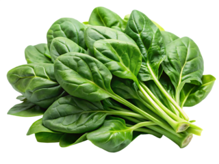  spinach isolated on white background.PNG