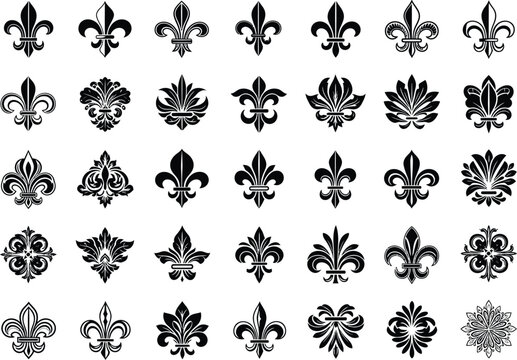 Collection of Fleur-de-Lis Designs 30+ Elegant Black and White Illustrations