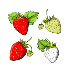 Strawberries, vector graphics, 4 black and white icons, white background, thick lines. Contains berries with leaves. Editable line icons. Vector illustration.