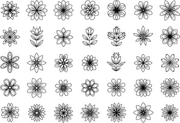 Collection of Simple Line Art Flower Drawings Botanical Illustrations
