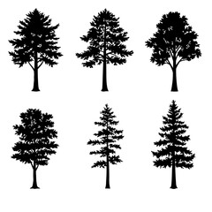 Obraz premium Collection of Simple Black Silhouette Tree Icons set: Pine, Fir, and Deciduous Trees, Isolated on White Background.