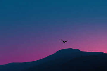 Naklejka premium Silhouette of a Bird Flying Over a Blue and Purple Sky