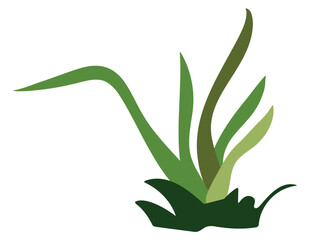 Green Grass Vector Illustration: Lush Foliage Design Element for Natural Backgrounds and Scenes