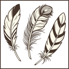 Obraz premium Set of black feathers flying in the air, isolated on transparent cutout background