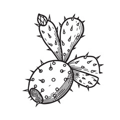 Hand drawn vintage art silhouette of a prickly pear cactus plant in black and white