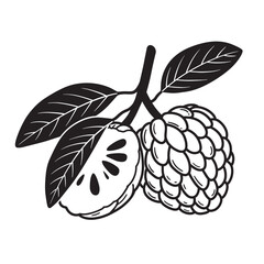 Simple vintage art silhouette illustration of a ripe custard apple branch with leaves and cut fruit