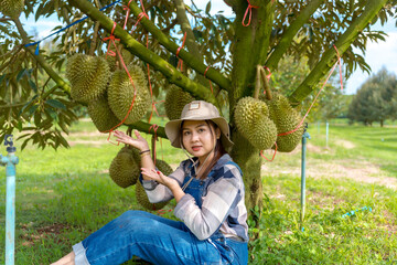 Durian produce from farms in Sisaket Province, Thailand