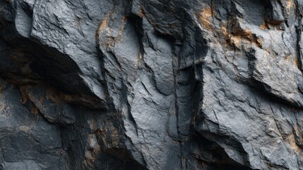Close-up of a dark gray, textured, and weathered rock formation