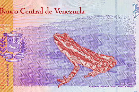 5 Bolivares Venezuela, with a picture of the frog Sapito Rayado. Paper money of Venezuela.