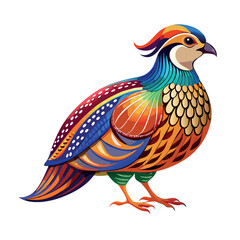  quail colorfull vector icon on white back nound