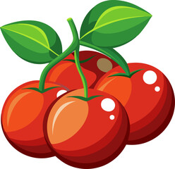 vector illustration of an Grape tomatoes 