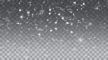 Falling snowflakes on transparent background. Vector illustration 