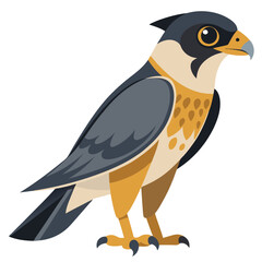 Stylized Illustration of a Peregrine Falcon Standing Tall Showcasing its Distinctive Markings Sharp Talons and Powerful Build Set Against a Clean White Background Perfect for