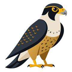 Stylized Illustration of a Peregrine Falcon Standing Tall and Alert Showcasing its Distinctive Markings and Powerful Stance Against a Clean White Background Perfect for Educational