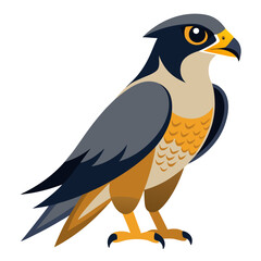 Stylized Peregrine Falcon Illustration A Majestic Bird of Prey in Flat Vector Design Featuring Sharp Details Bold Colors and a Modern Minimalist Aesthetic on a