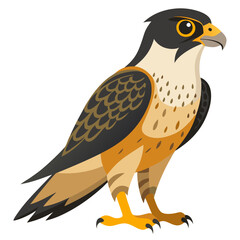Stylized Peregrine Falcon Illustration A Detailed Depiction of a Bird of Prey with Sharp Claws and Distinctive Markings Perfect for Educational or Decorative Purposes stylized
