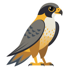 Stylized Peregrine Falcon Illustration A Detailed Look at a Majestic Bird of Prey with Geometric Shapes and a Modern Clean Design on a White Background