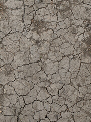 A detailed image displays the cracked, dry earth with a rough, textured surface.