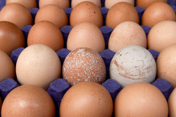 Brown Eggs with different shades and patterns