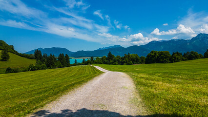 Forggensee lake with turquoise water, green fields, and roads winding through the Bavarian Alps near Rieden am Forggensee. Captured from drone on a sunny summer day