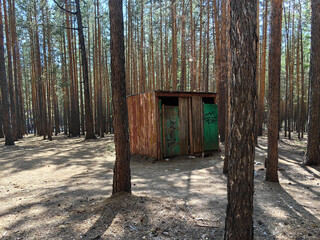 An old outhouse stands forgotten amidst a tranquil forest, bathed in sunlight.