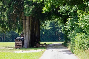 Idylle in Oberösterreich: Pfad zwischen Feld und Bäumen
