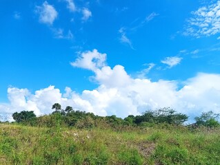 Obraz premium Lush Green Field Under a Vast Azure Sky