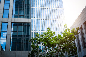 Green plants outside the office building