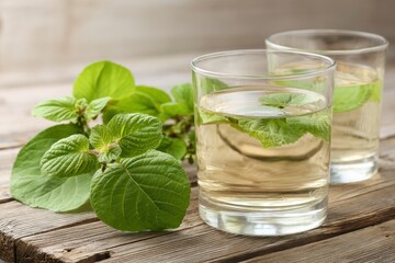 Fototapeta premium Refreshing Herbal Drink with Fresh Mint Leaves in Glasses on Rustic Wooden Table