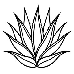 Aloe Vera line art vector